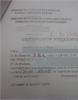 Certificat de fréquentation